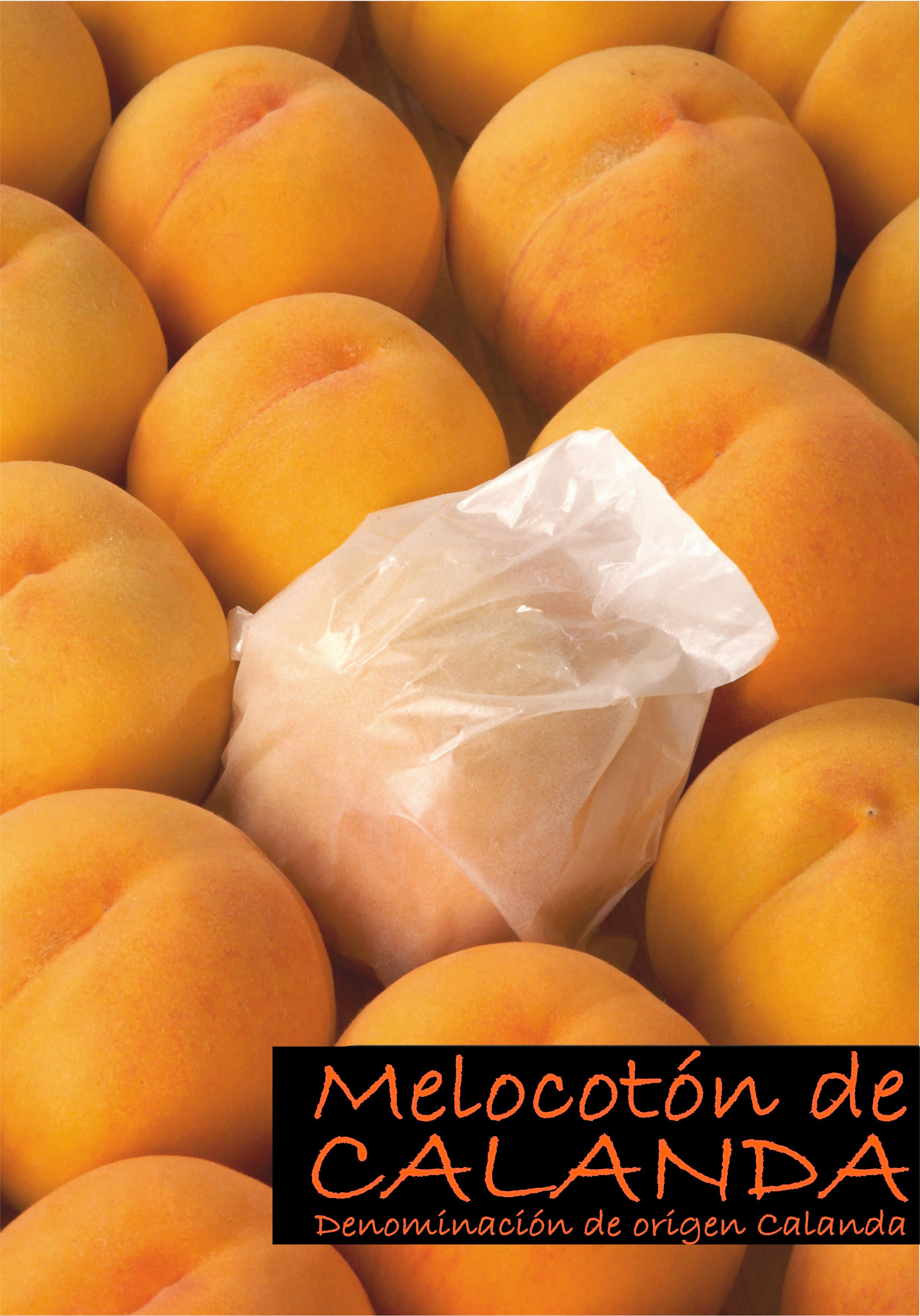 Melocotón de Calanda